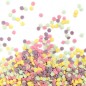 Décors mini Fleurs en Sucre