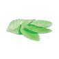 Feuilles vertes azyme