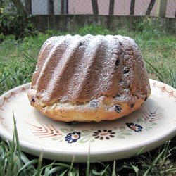 Moule à Kouglof émaillé