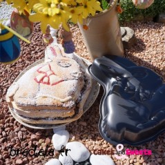 Moule Lapin de Pâques