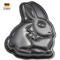 Moule Lapin de Pâques