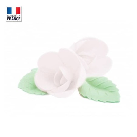 Fleurs azyme : roses blanches et feuilles vertes