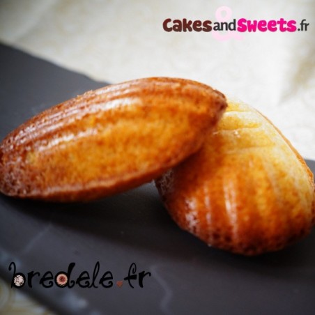 Plaque 20 Petites Madeleines